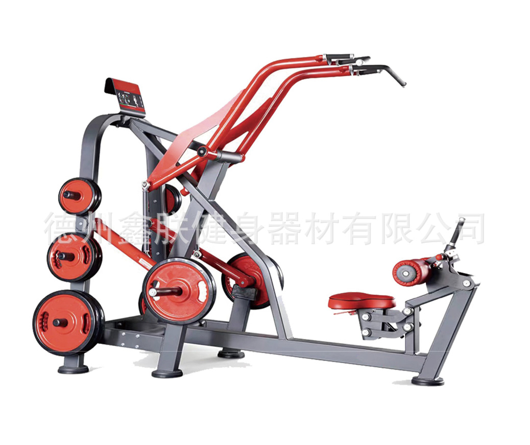 Home Gym Lat Pulldown - Commercial Gym Strength Machine, Panatta Style