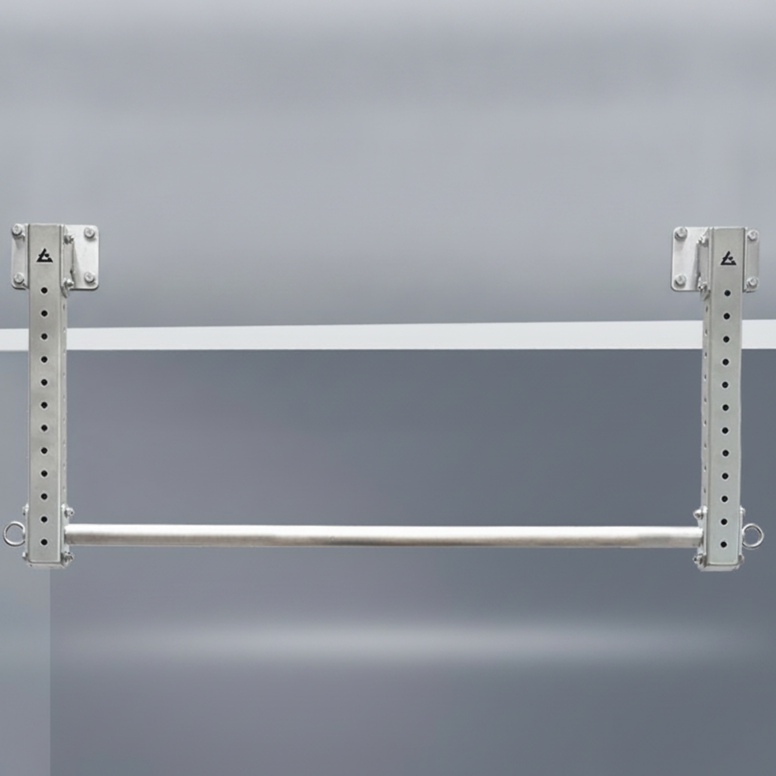 Pull-up Bar with Hanging Rings - Home Gym Wall Mounted recension och pris