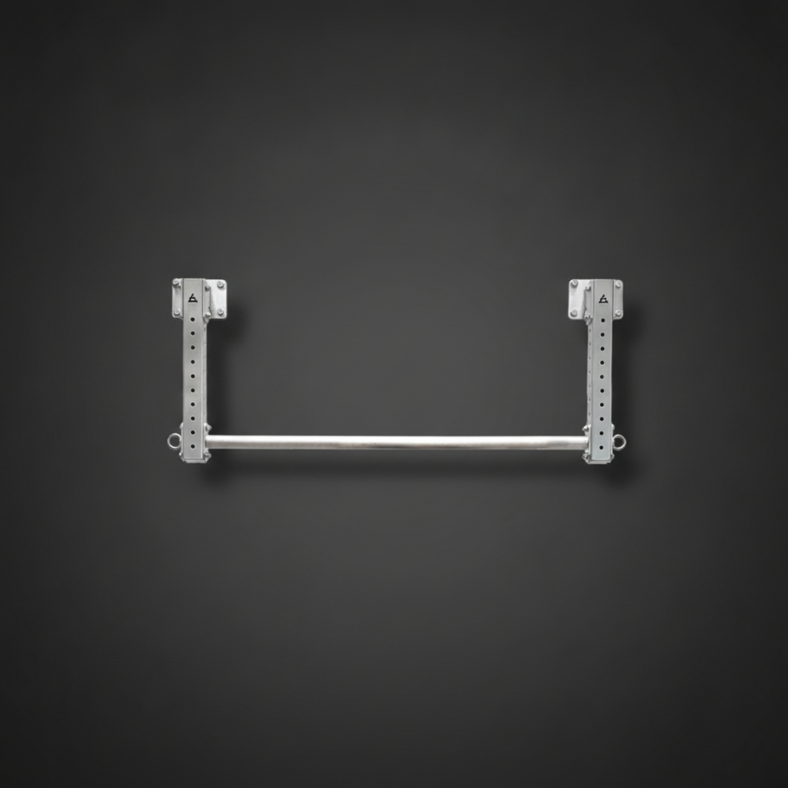 Pull-up Bar with Hanging Rings - Home Gym Wall Mounted recension och pris